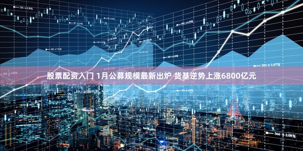 股票配资入门 1月公募规模最新出炉 货基逆势上涨6800亿元
