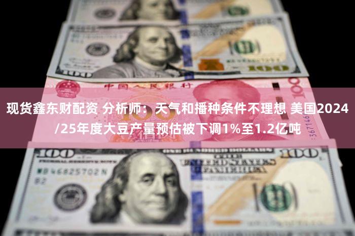 现货鑫东财配资 分析师：天气和播种条件不理想 美国2024/25年度大豆产量预估被下调1%至1.2亿吨