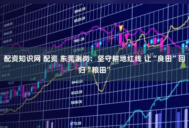 配资知识网 配资 东莞谢岗：坚守耕地红线 让“良田”回归“粮田”