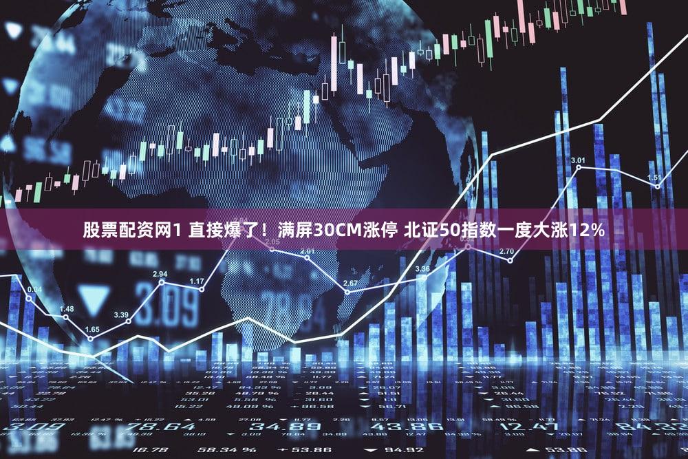股票配资网1 直接爆了！满屏30CM涨停 北证50指数一度大涨12%
