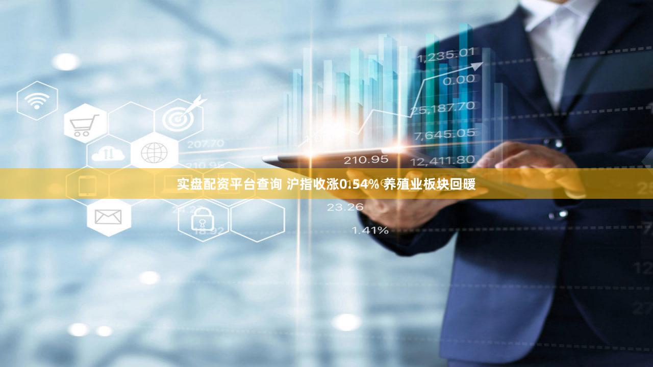 实盘配资平台查询 沪指收涨0.54% 养殖业板块回暖