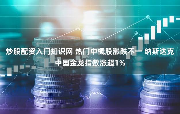 炒股配资入门知识网 热门中概股涨跌不一 纳斯达克中国金龙指数涨超1%