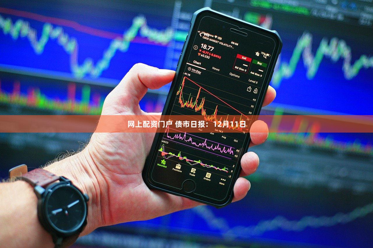 网上配资门户 债市日报：12月11日